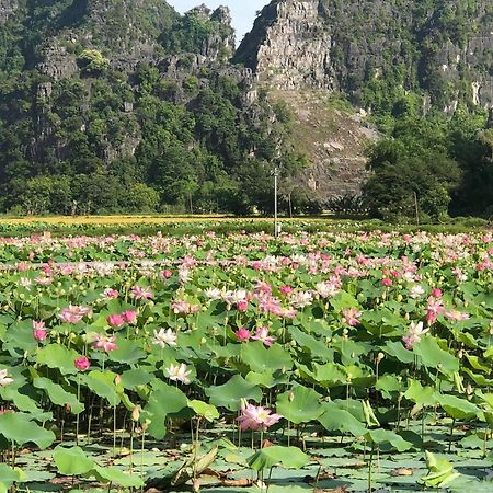 Tam Coc - Thanh Homestay Ninh Binh Eksteriør billede